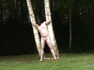 支配的な雌犬はボンドマンを木に結びつけ、BBCを叩く前に彼を鞭打ちます