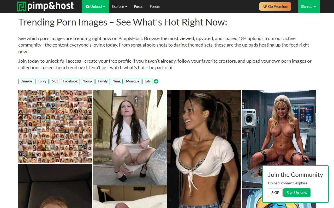 Screenshot of Pimpandhost